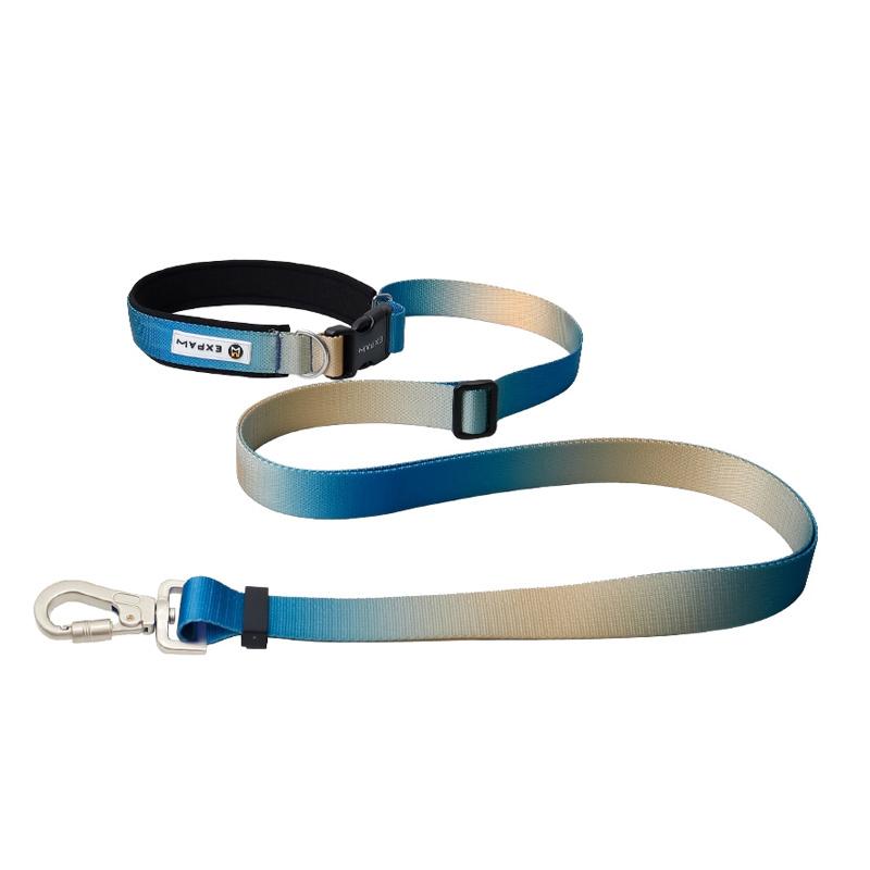 Multifunctional hands-free pet leash