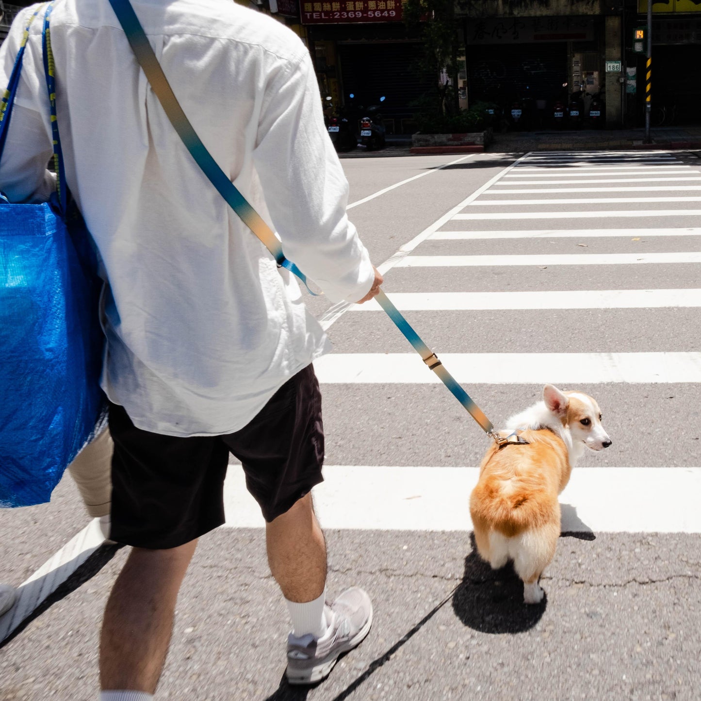 Multifunctional hands-free pet leash