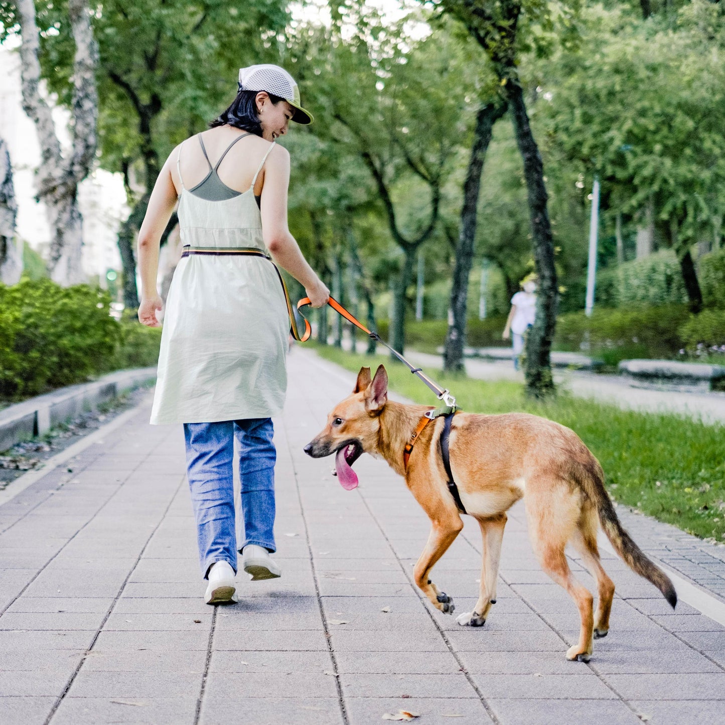 Multifunctional hands-free pet leash