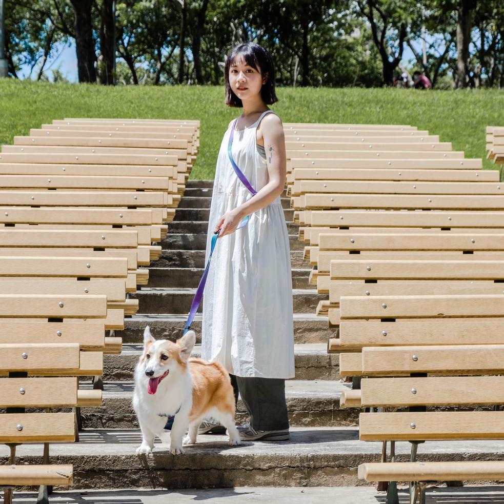 Multifunctional hands-free pet leash