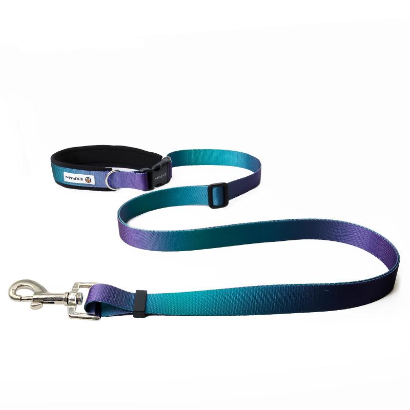 Multifunctional hands-free pet leash