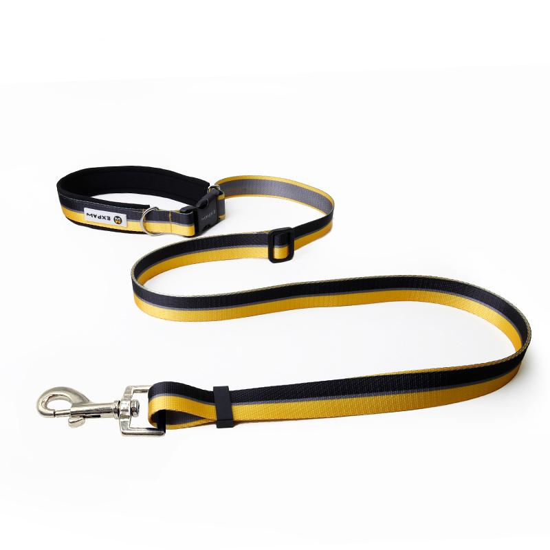 Multifunctional hands-free pet leash