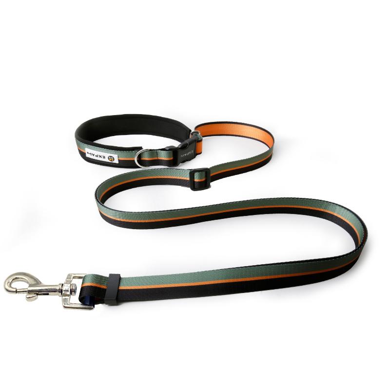 Multifunctional hands-free pet leash
