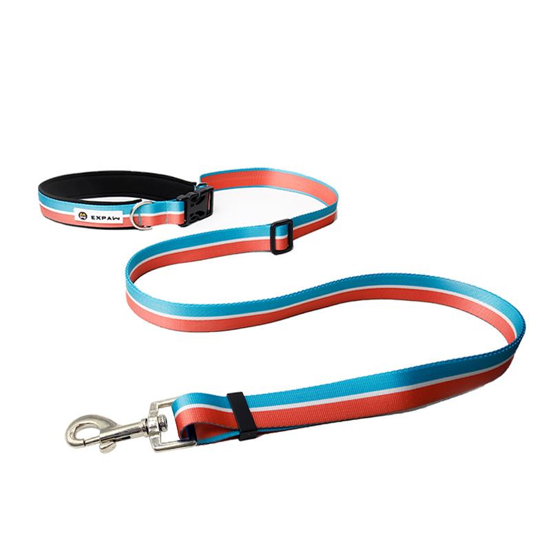 Multifunctional hands-free pet leash