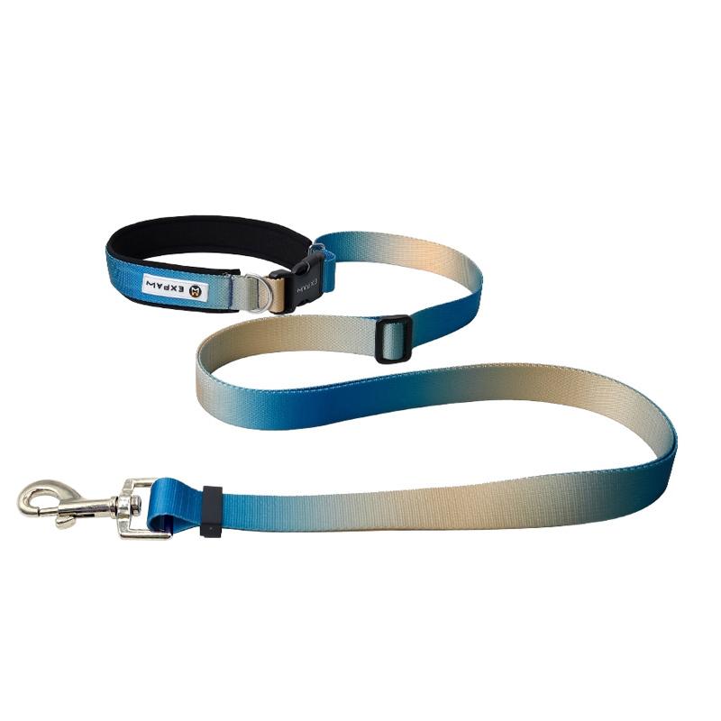Multifunctional hands-free pet leash