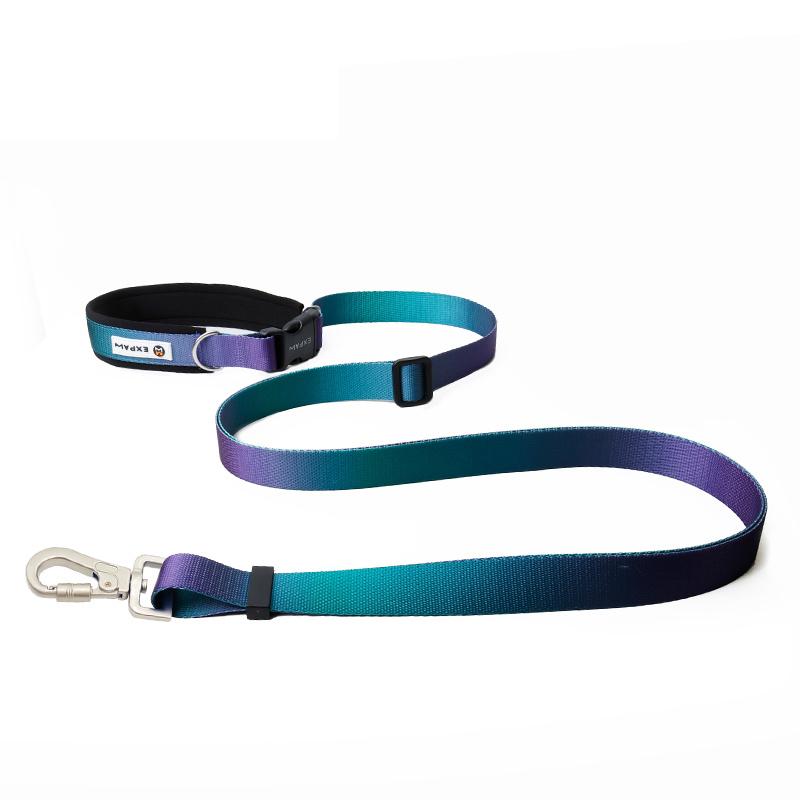 Multifunctional hands-free pet leash
