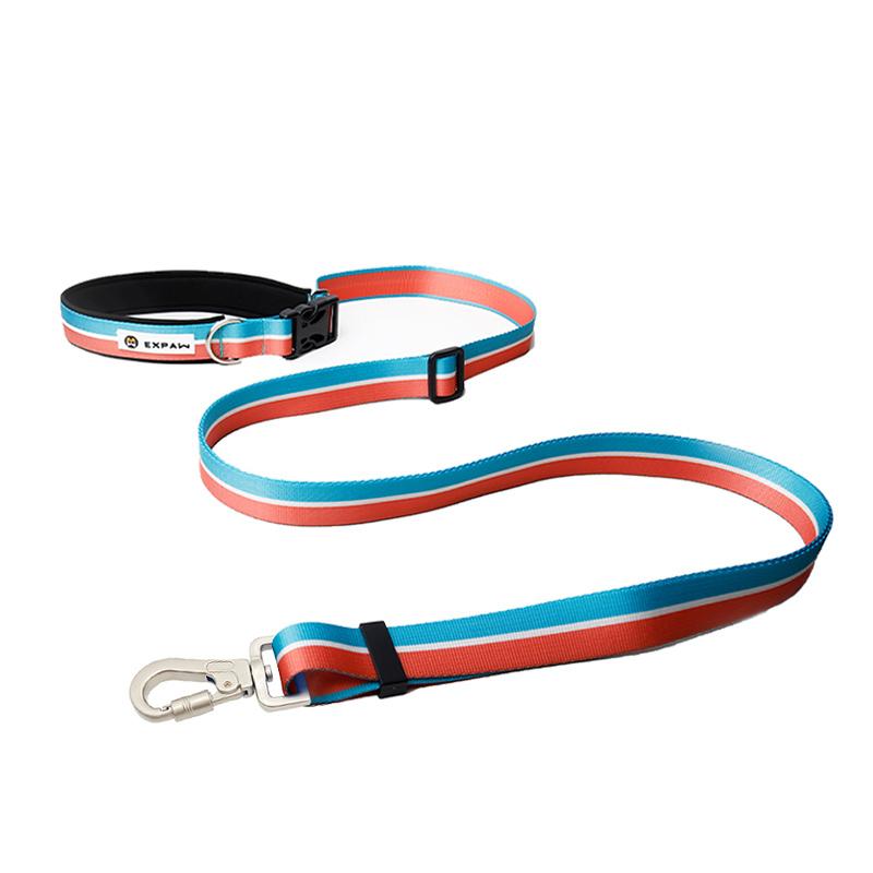 Multifunctional hands-free pet leash