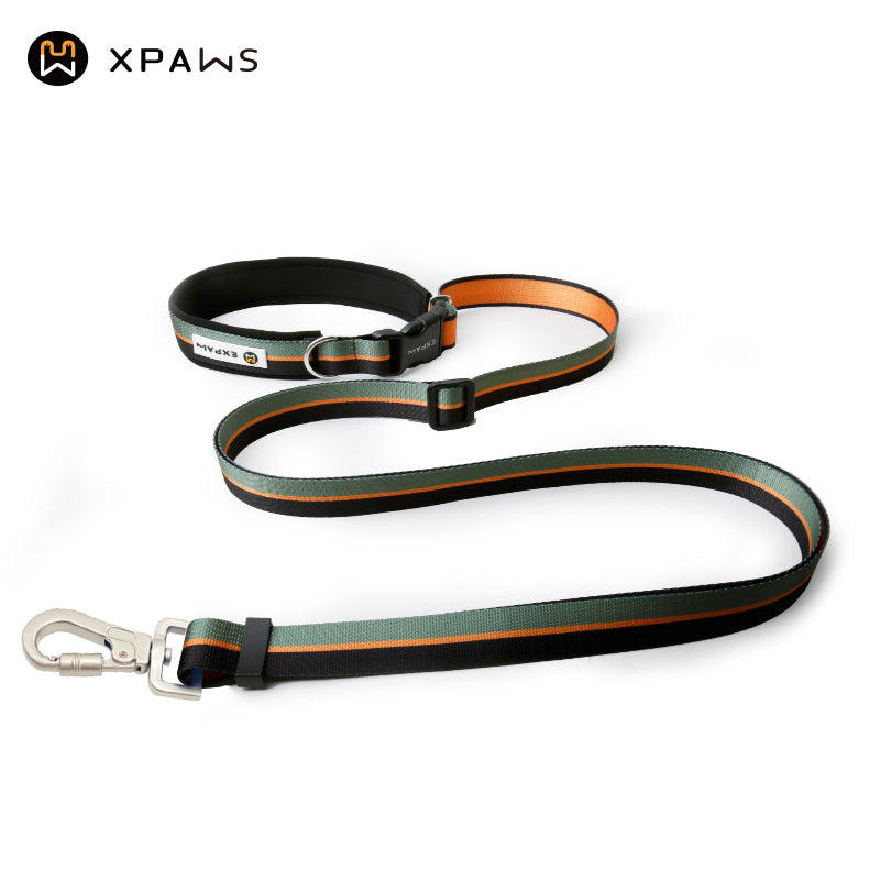 Multifunctional hands-free pet leash