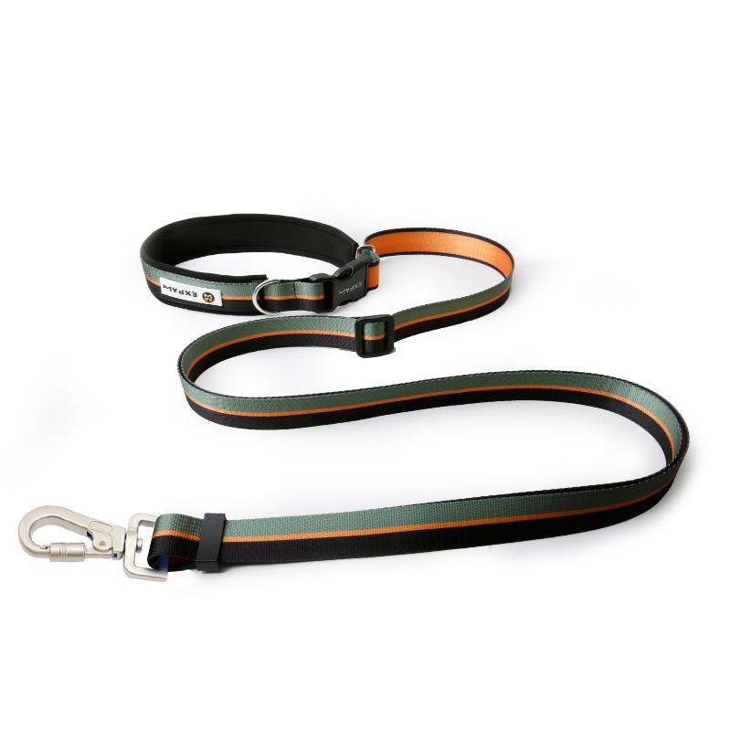 Multifunctional hands-free pet leash