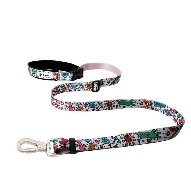 Multifunctional hands-free pet leash